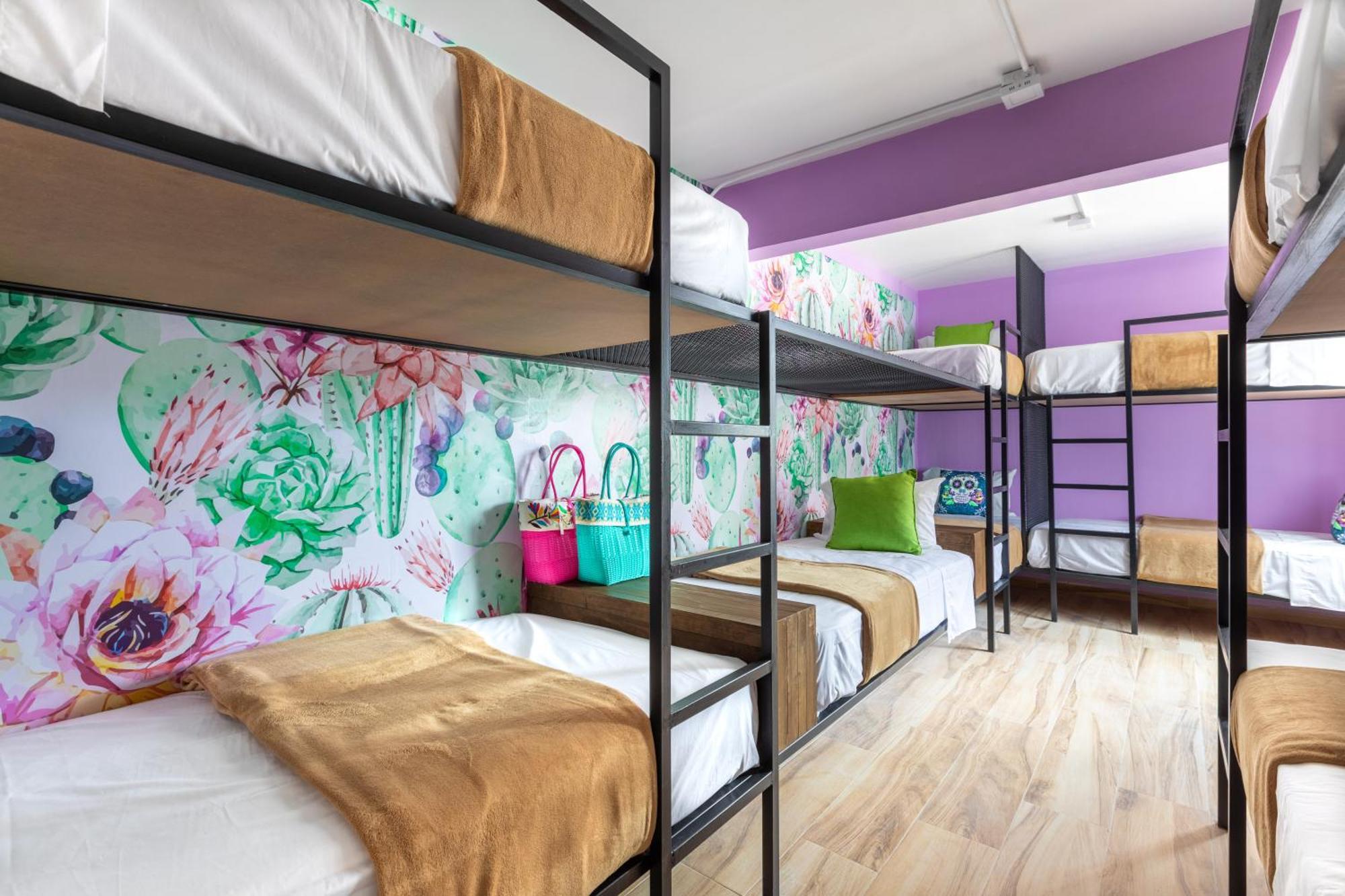 Casa Kanabri Hostal Boutique เม็กซิโกซิตี้ ภายนอก รูปภาพ